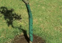 Spirala protectie copac 2, 60 cm