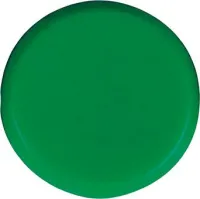 Organisationsmagnet rund grün 20mm Eclipse